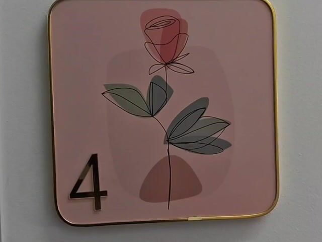 Video Image 1