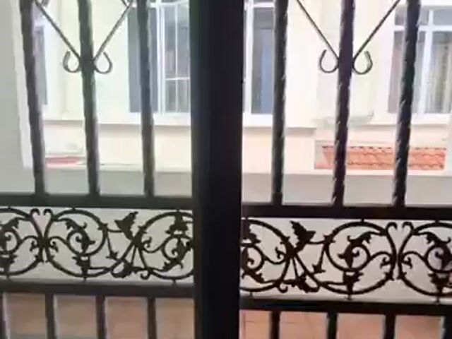 Video Image 1