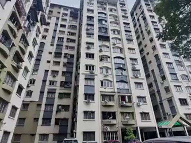 Video Image 1