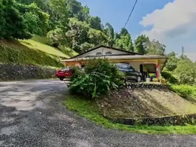 Video Image 1