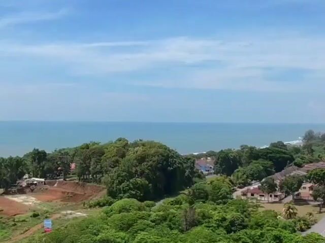 Video Image 1