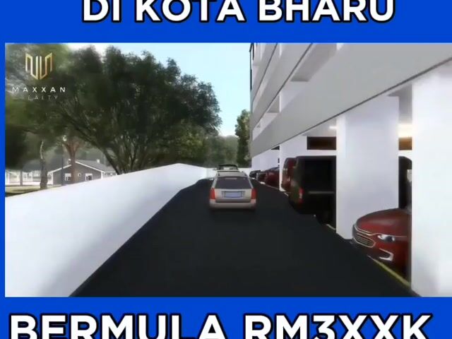 Video Image 1
