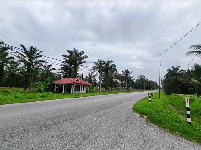 Video Image 1