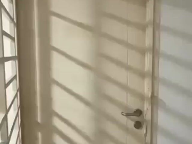 Video Image 1