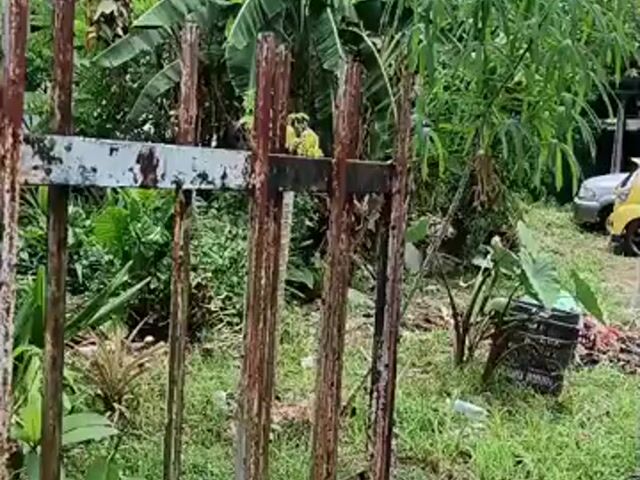 Video Image 1