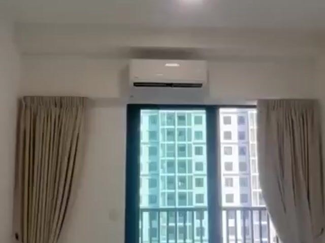Video Image 1