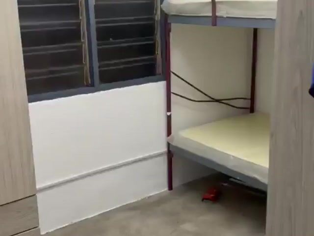 Video Image 1