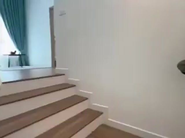 Video Image 1