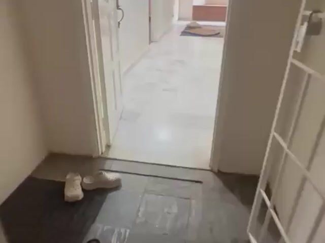 Video Image 1