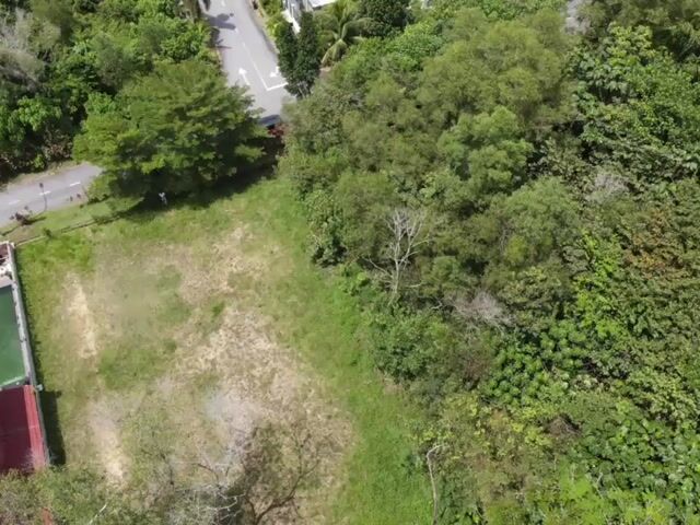 Video Image 1