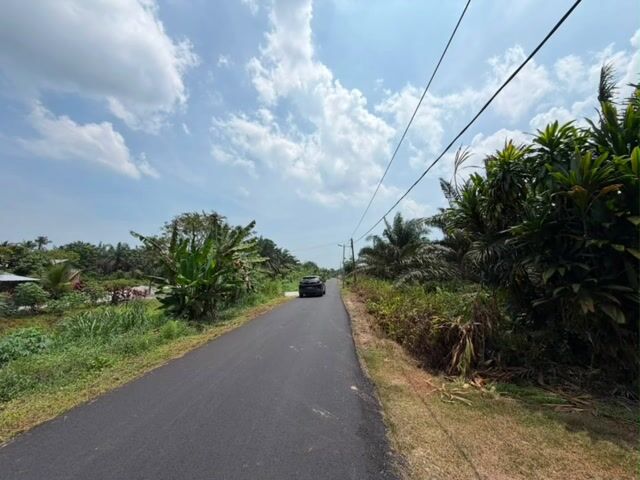 Video Image 1