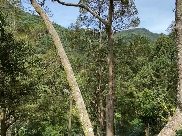 Video Image 1