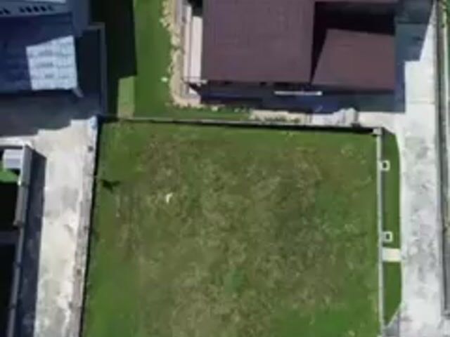 Video Image 1