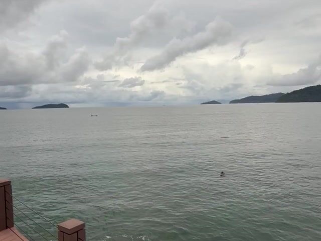 Video Image 1