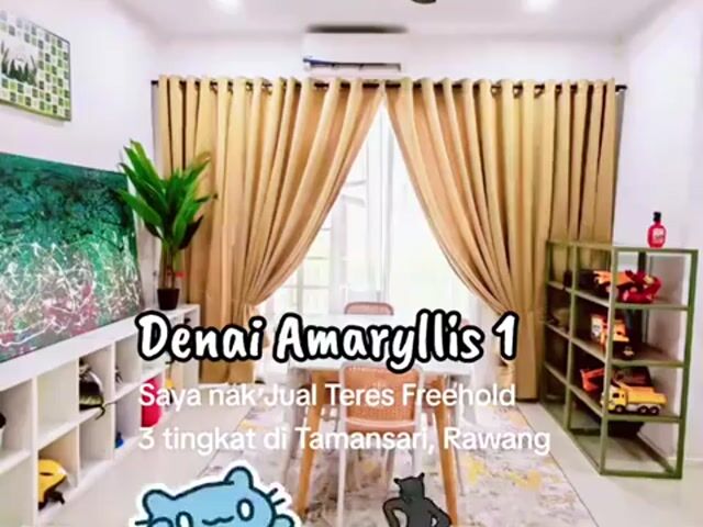 Video Image 1