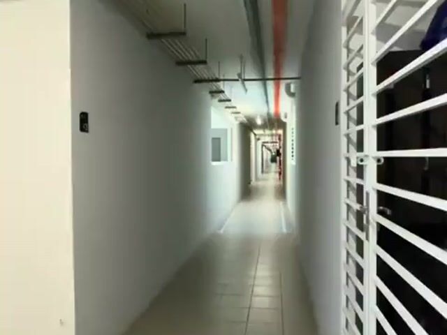 Video Image 1