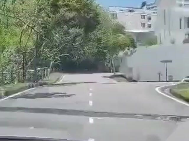 Video Image 1