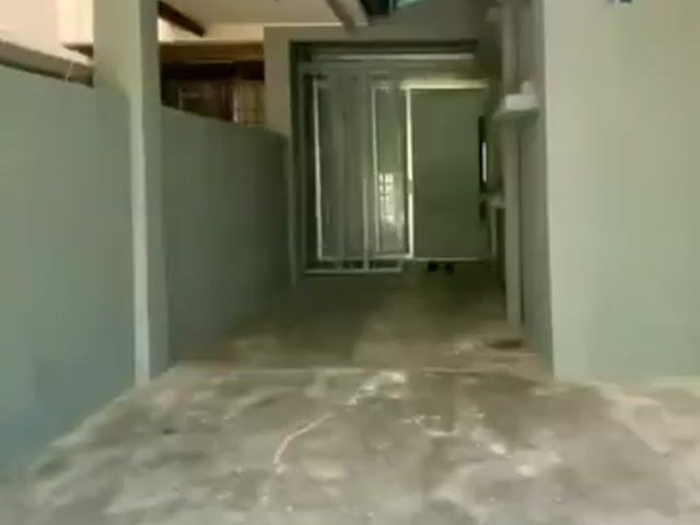 Video Image 1