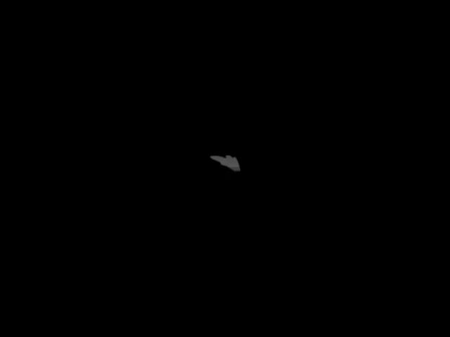 Video Image 1