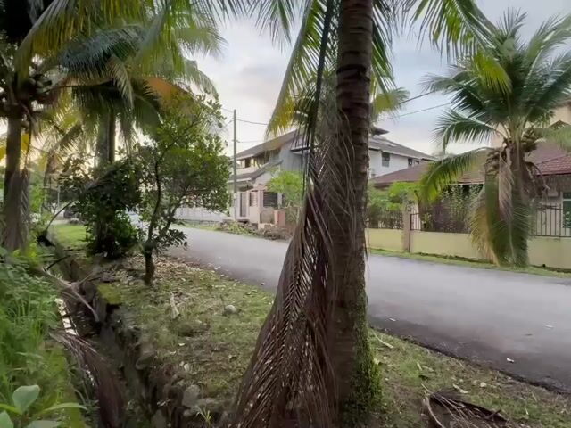 Video Image 1