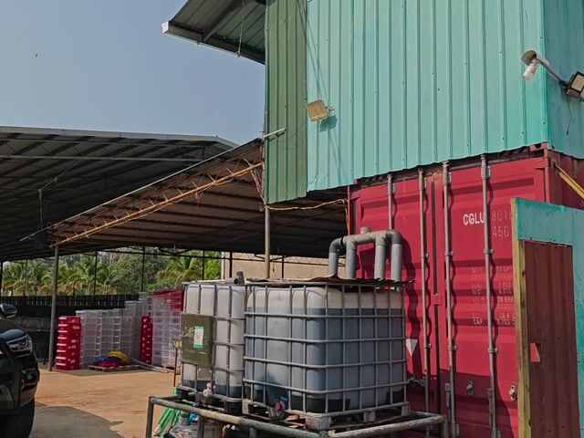 Video Image 1