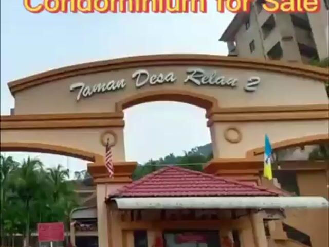 Video Image 1