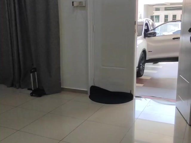 Video Image 1