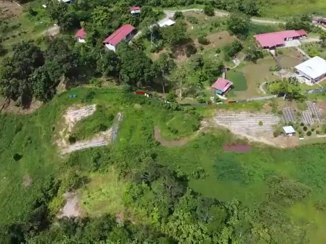 Video Image 1