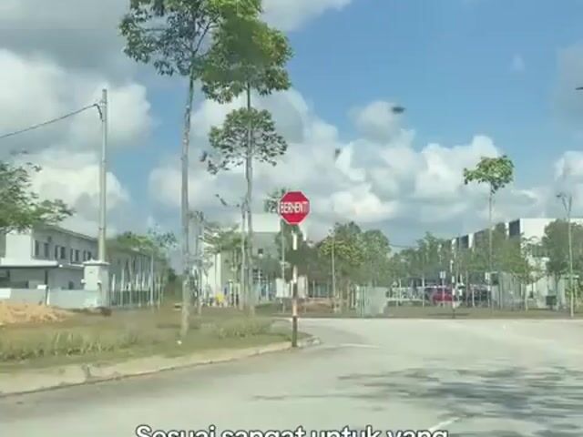 Video Image 1