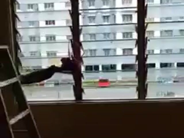 Video Image 1
