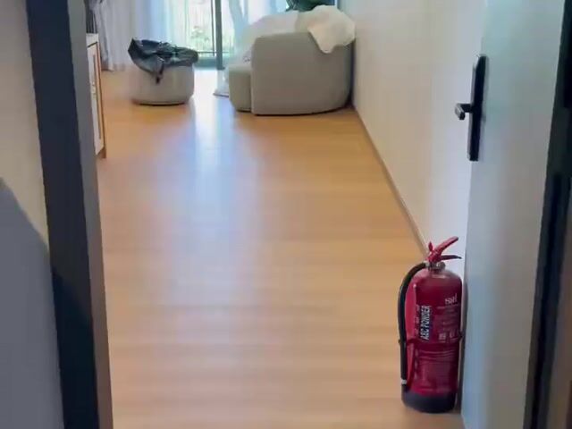 Video Image 1