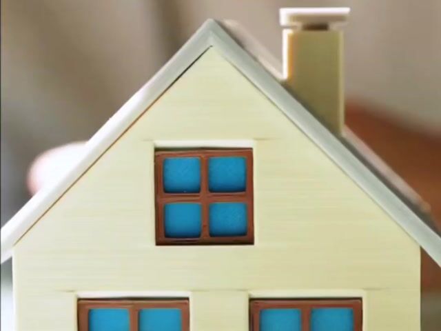 Video Image 1