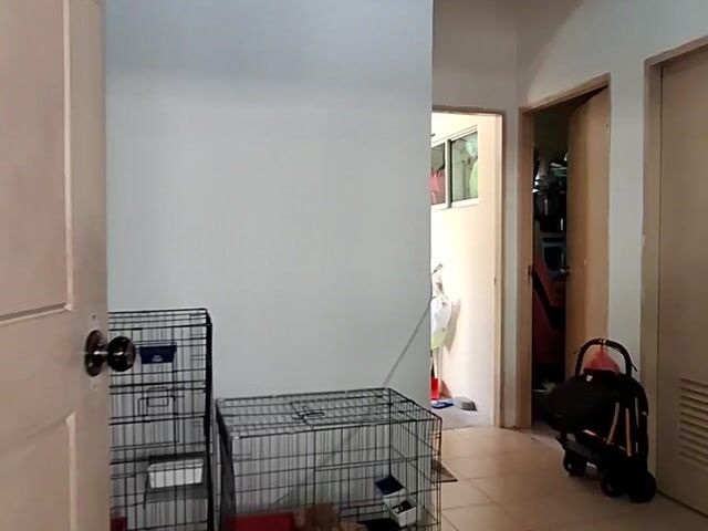 Video Image 1