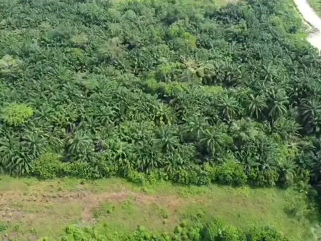 Video Image 1