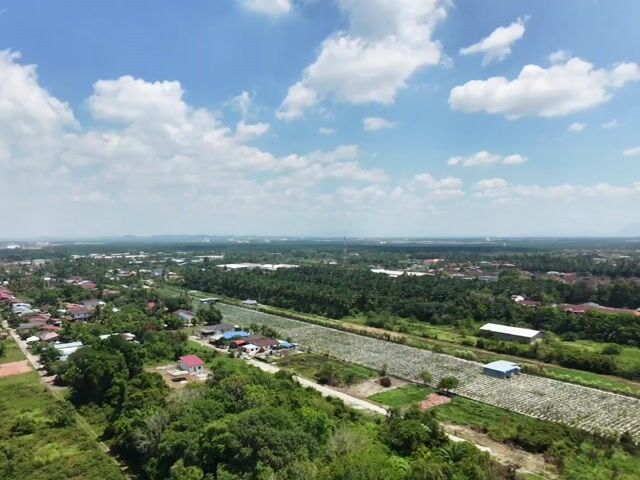 Video Image 1