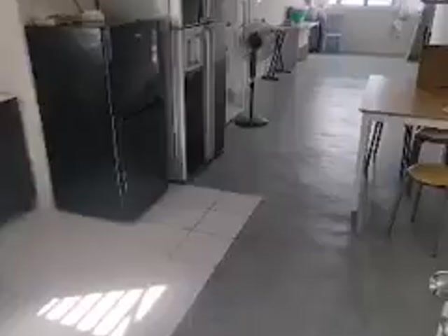 Video Image 1