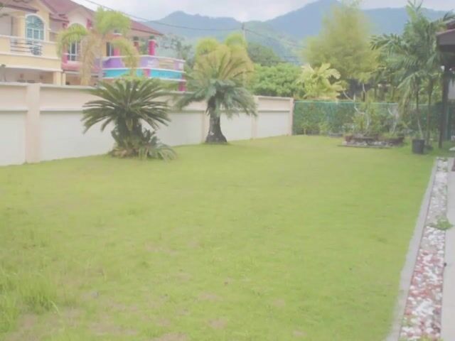 Video Image 1