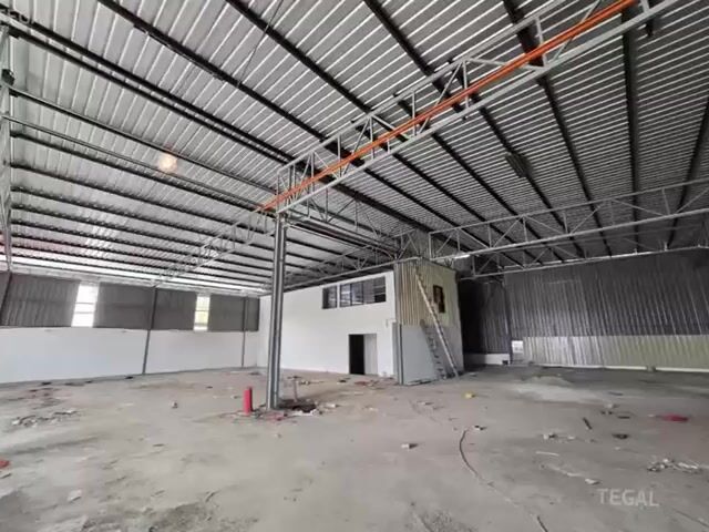 Video Image 1