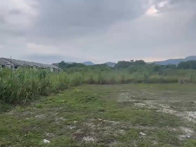 Video Image 1