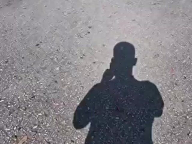 Video Image 1