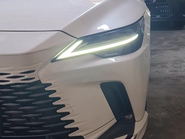 2024 Lexus RX350 2.4 LUXURY BODYKIT PANORAMIC ROOF - 1