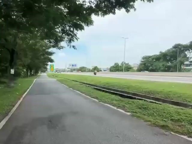 Video Image 1