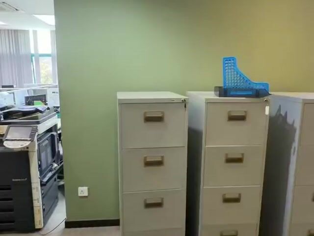 Video Image 1