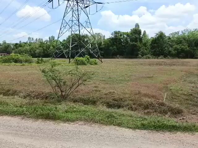 Video Image 1