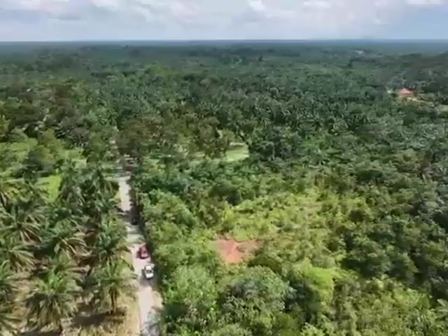 Video Image 1