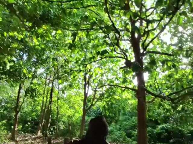 Video Image 1