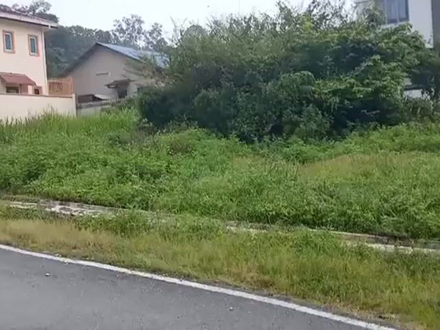 Video Image 1