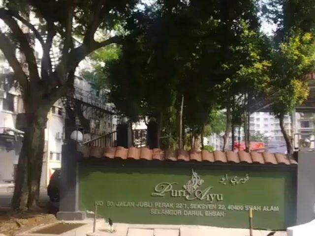 Video Image 1