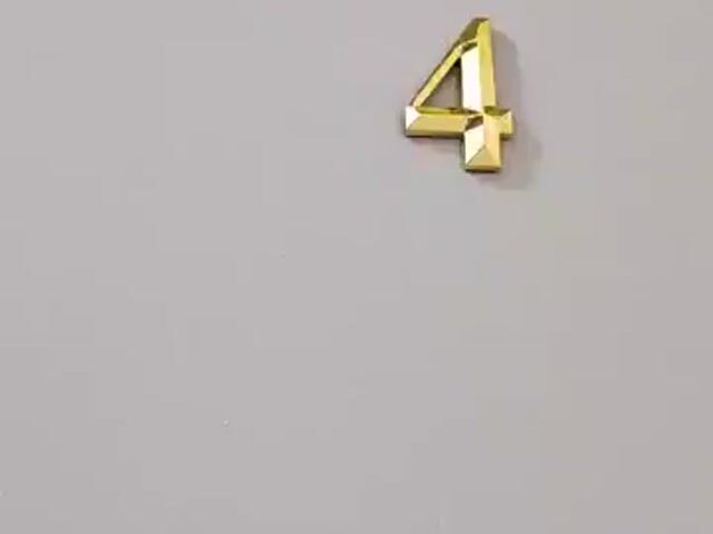 Video Image 1