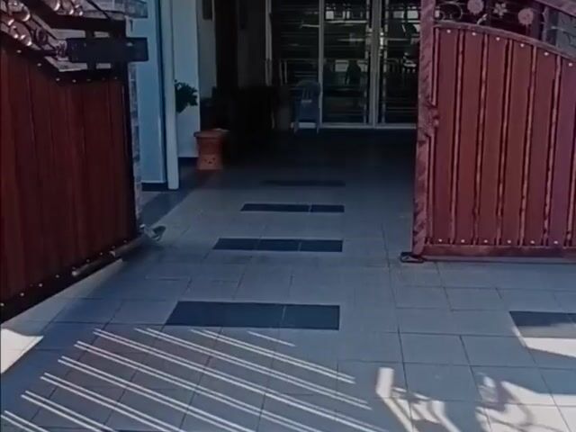 Video Image 1